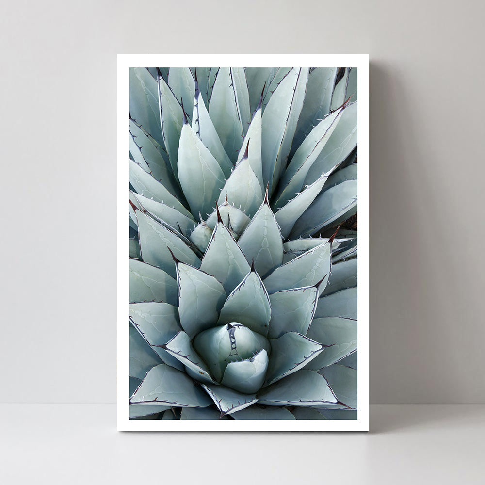 wall-art-print-canvas-poster-framed-Agave Cactus-by-Gioia Wall Art-Gioia Wall Art