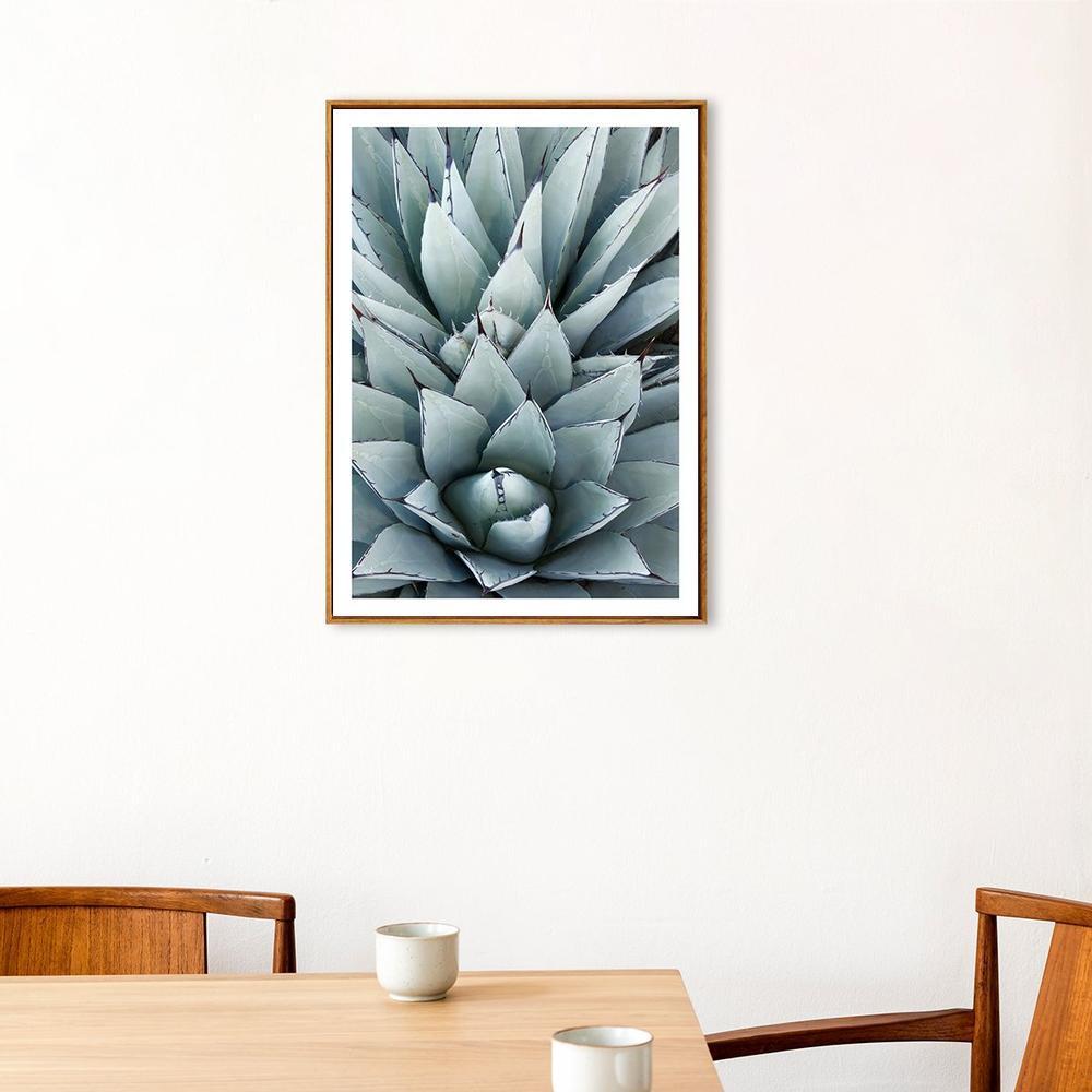 wall-art-print-canvas-poster-framed-Agave Cactus-by-Gioia Wall Art-Gioia Wall Art