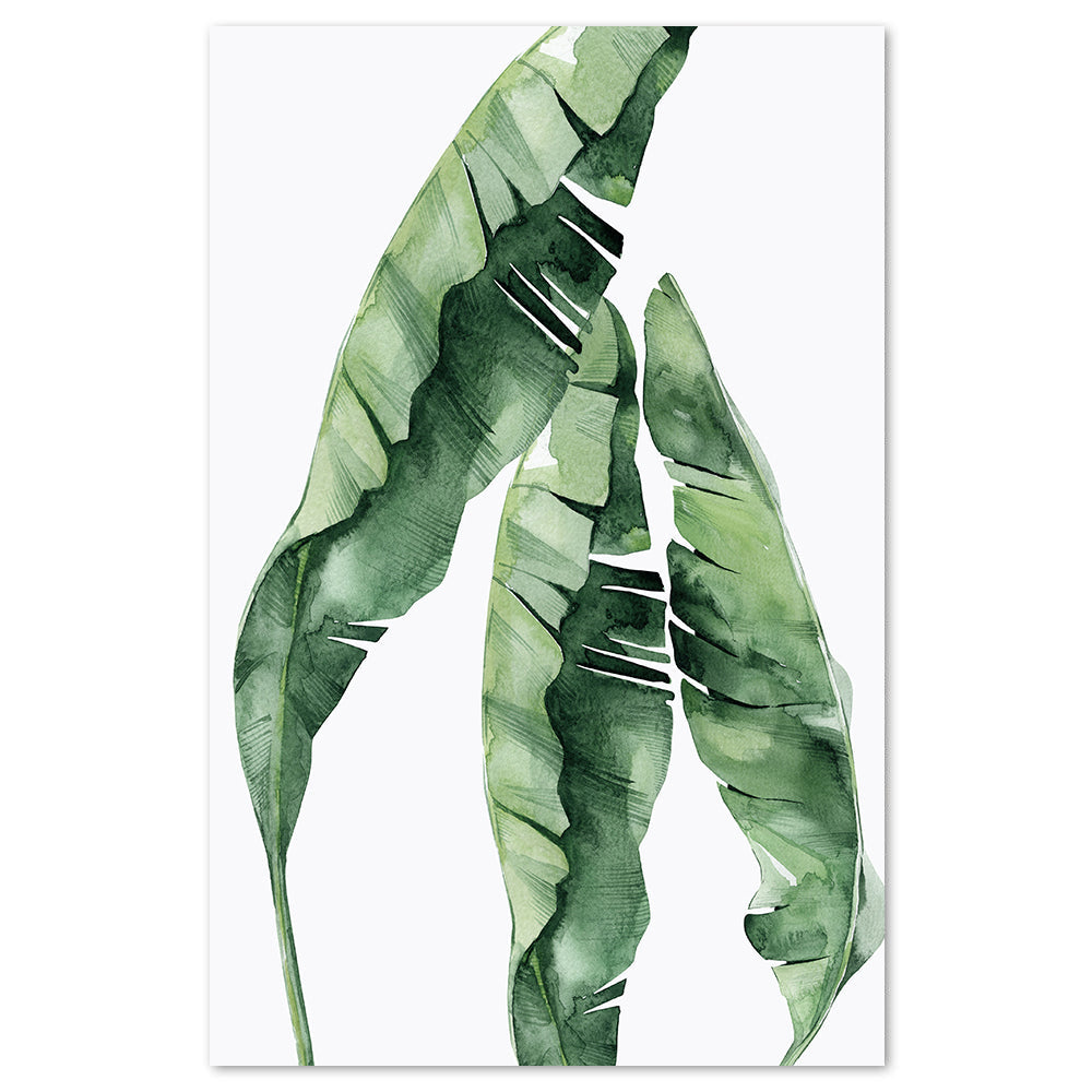 wall-art-print-canvas-poster-framed-Banana Tree Leaves, Watercolour-by-Gioia Wall Art-Gioia Wall Art