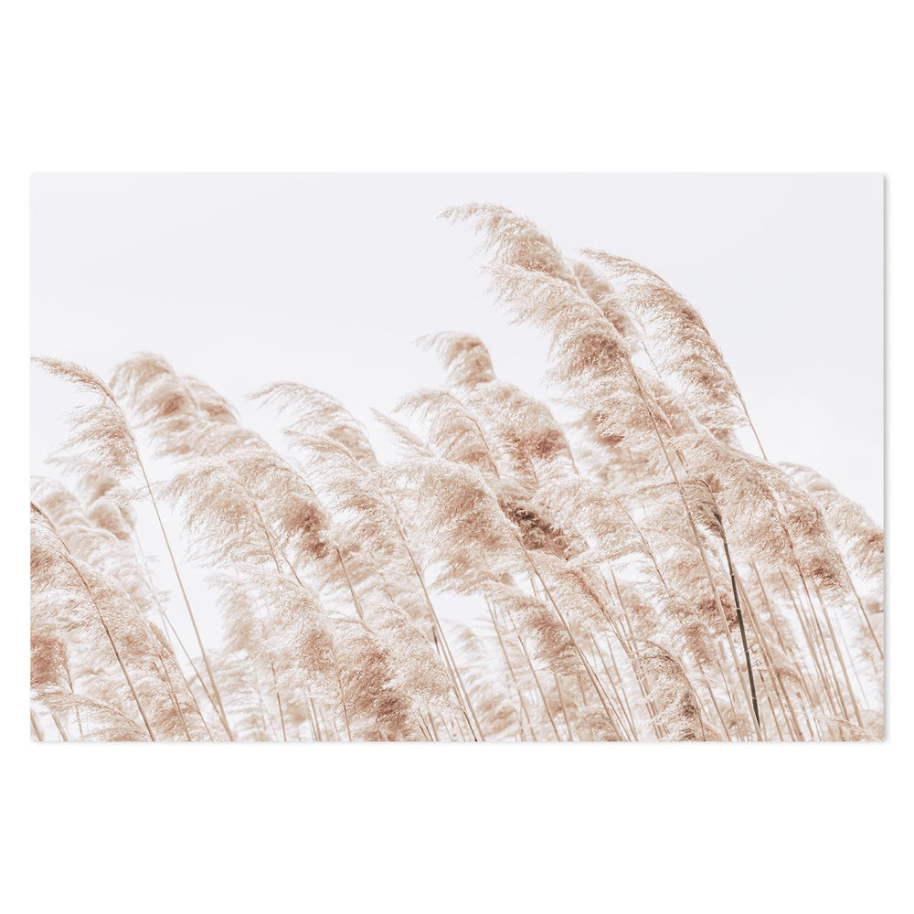 Beach Grass Reeds-Gioia-Prints-Framed-Canvas-Poster-GIOIA-WALL-ART