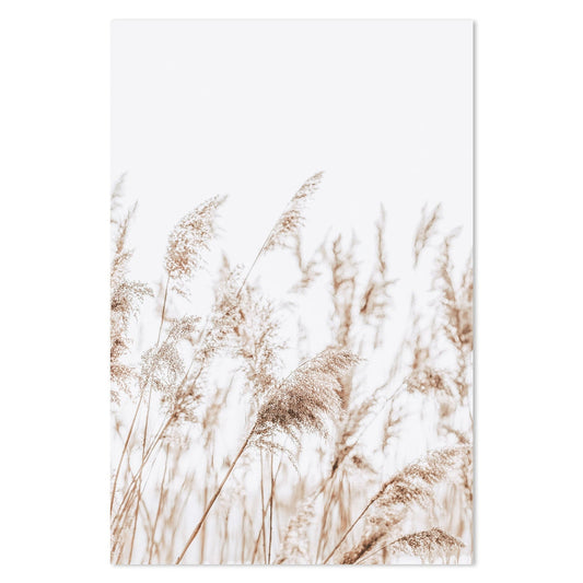 wall-art-print-canvas-poster-framed-Beach Pampas Grass, Soft Tone-by-Gioia Wall Art-Gioia Wall Art