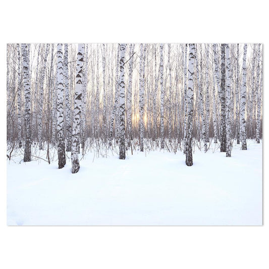 wall-art-print-canvas-poster-framed-Birch Grove In Winter At Sunset-by-Gioia Wall Art-Gioia Wall Art