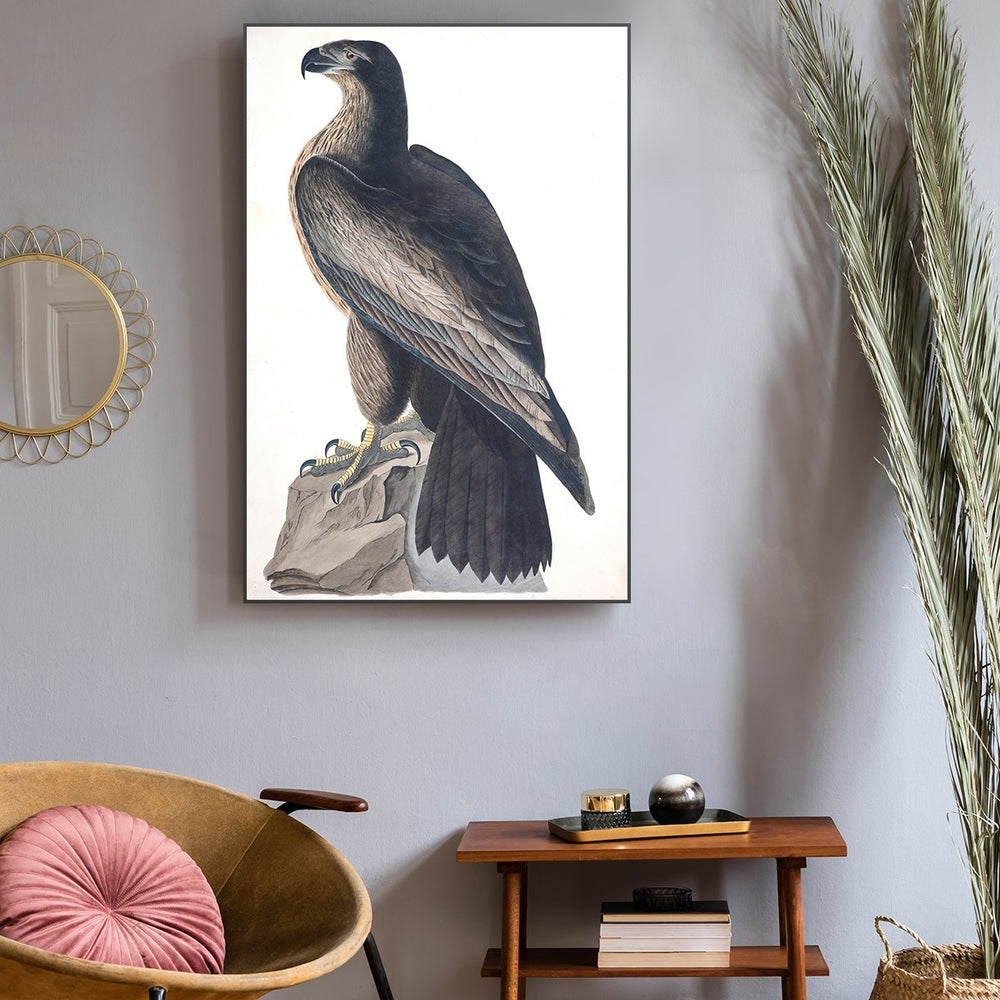 wall-art-print-canvas-poster-framed-Bird Of Washington, By John James Audubon-by-Gioia Wall Art-Gioia Wall Art