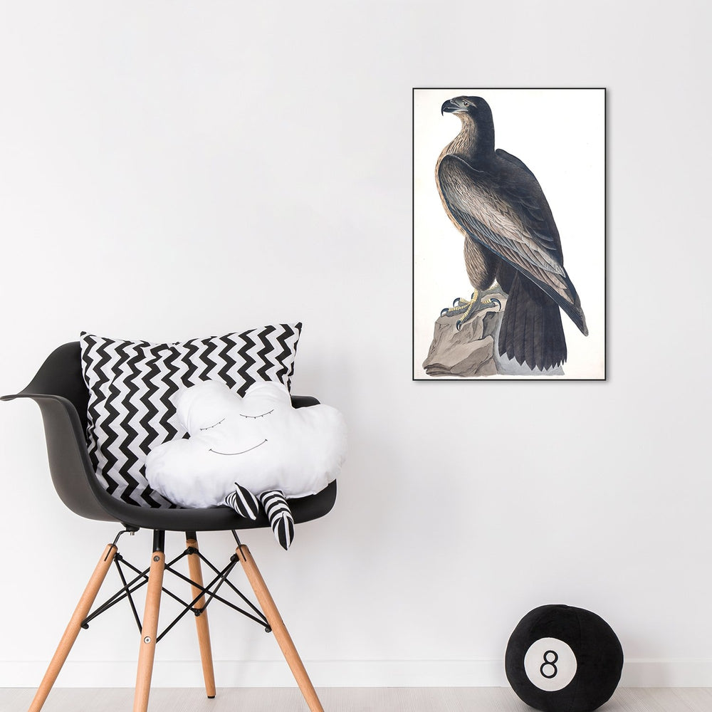 wall-art-print-canvas-poster-framed-Bird Of Washington, By John James Audubon-by-Gioia Wall Art-Gioia Wall Art