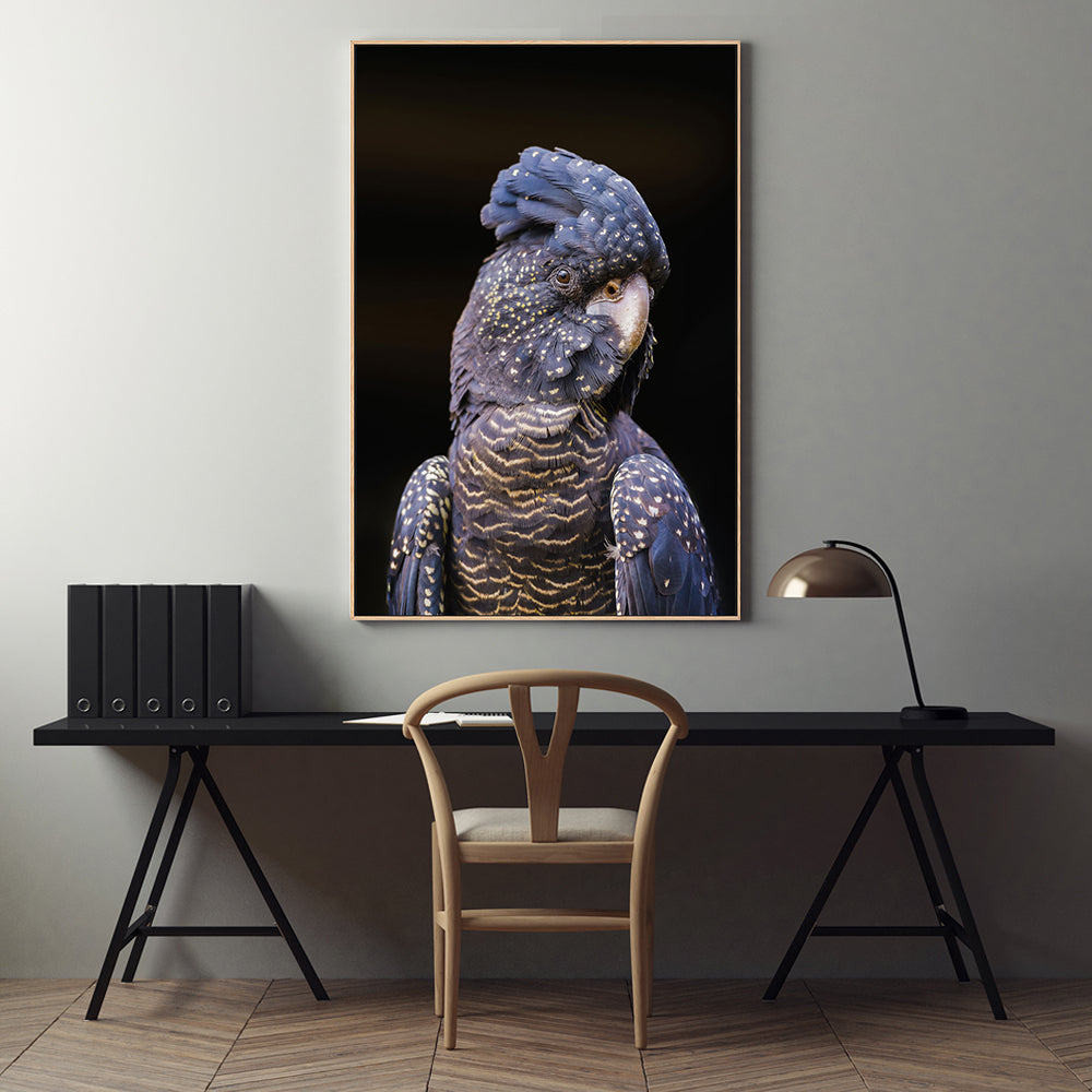 wall-art-print-canvas-poster-framed-Black Cockatoo, Style B-by-Gioia Wall Art-Gioia Wall Art