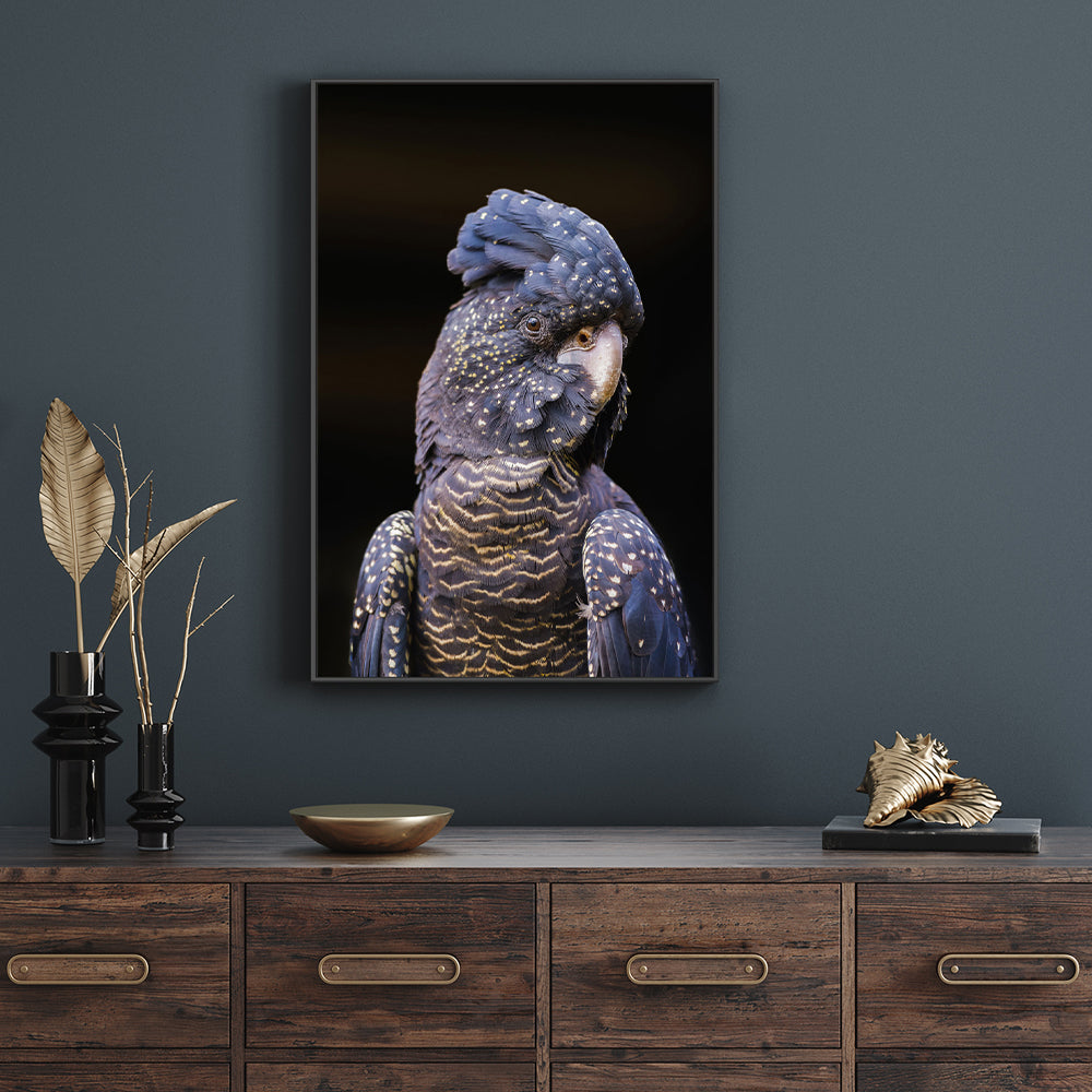 wall-art-print-canvas-poster-framed-Black Cockatoo, Style B-by-Gioia Wall Art-Gioia Wall Art