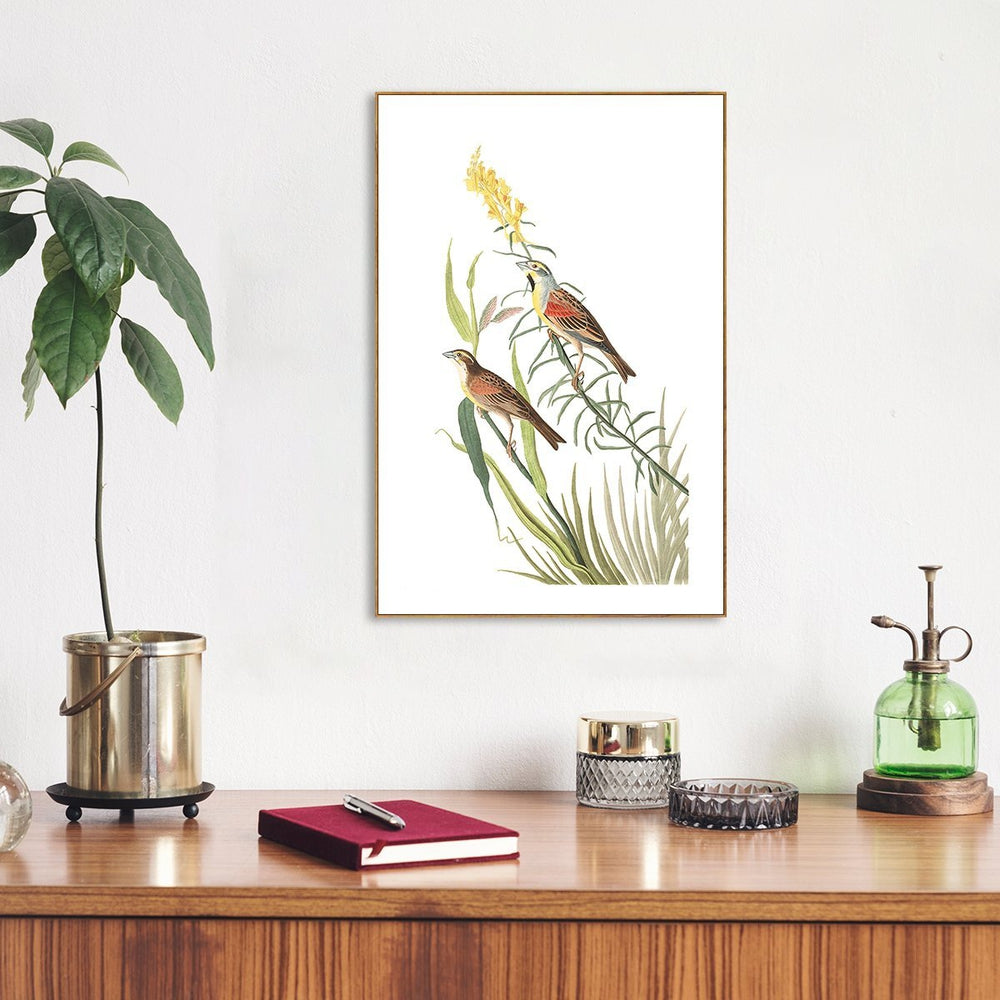 wall-art-print-canvas-poster-framed-Black Throated Bunting, By John James Audubon-by-Gioia Wall Art-Gioia Wall Art