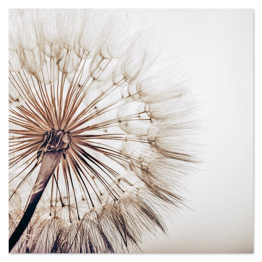 wall-art-print-canvas-poster-framed-Boho Dandelion-by-Gioia Wall Art-Gioia Wall Art