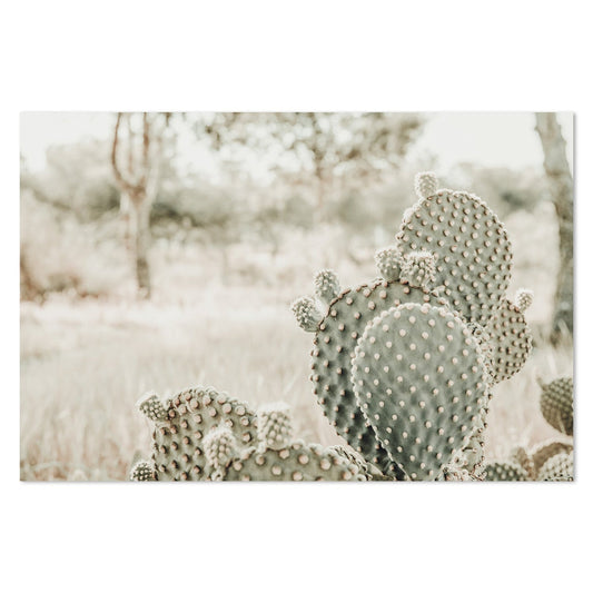 wall-art-print-canvas-poster-framed-Cactus In Desert-by-Gioia Wall Art-Gioia Wall Art