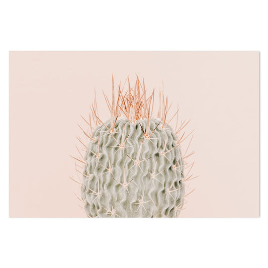 wall-art-print-canvas-poster-framed-Cactus On Pink Background-by-Gioia Wall Art-Gioia Wall Art