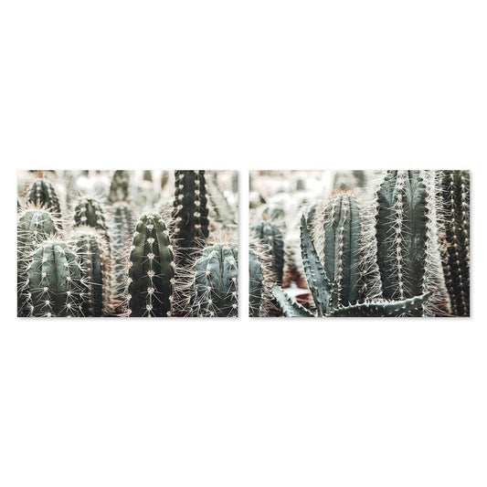 wall-art-print-canvas-poster-framed-Cactus Thorns, Set Of 2-by-Gioia Wall Art-Gioia Wall Art