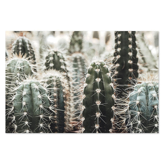 wall-art-print-canvas-poster-framed-Cactus Thorns, Style A-by-Gioia Wall Art-Gioia Wall Art