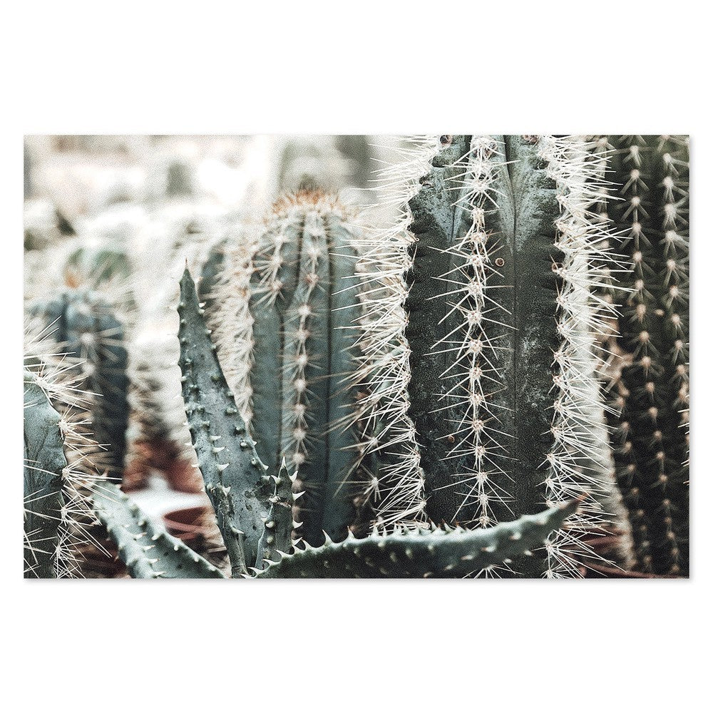 wall-art-print-canvas-poster-framed-Cactus Thorns, Style B-by-Gioia Wall Art-Gioia Wall Art