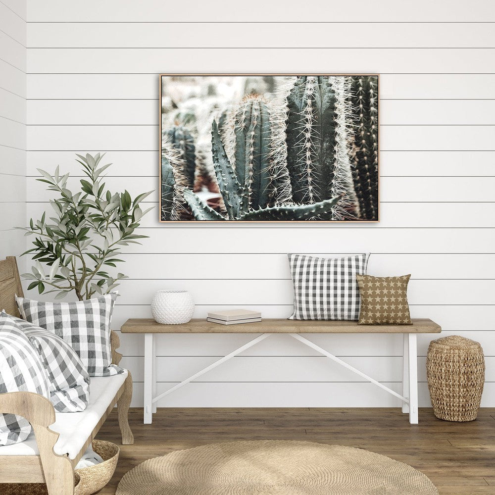 wall-art-print-canvas-poster-framed-Cactus Thorns, Style B-by-Gioia Wall Art-Gioia Wall Art