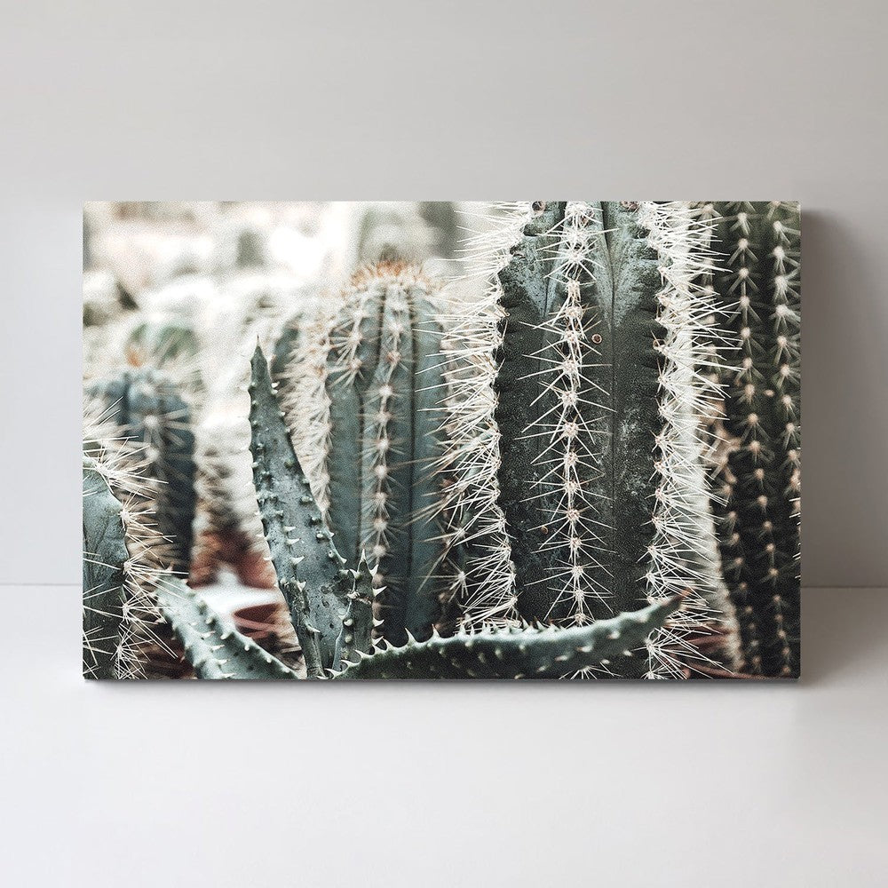 wall-art-print-canvas-poster-framed-Cactus Thorns, Style B-by-Gioia Wall Art-Gioia Wall Art