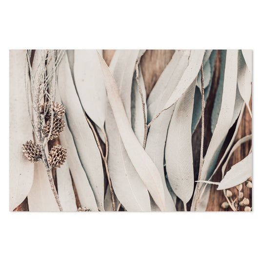 Buy Close Up Eucalyptus Leaves Wall Art Online, Framed Canvas Or Poster