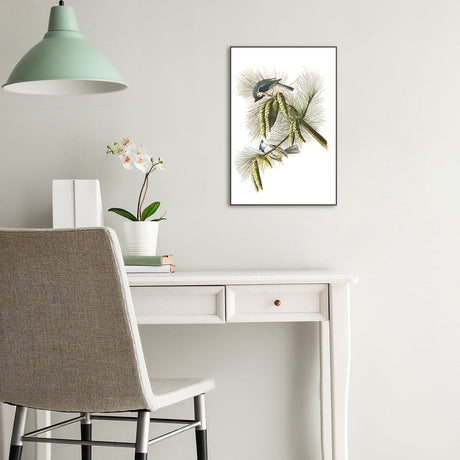 wall-art-print-canvas-poster-framed-Crested Titmouse, By John James Audubon-by-Gioia Wall Art-Gioia Wall Art