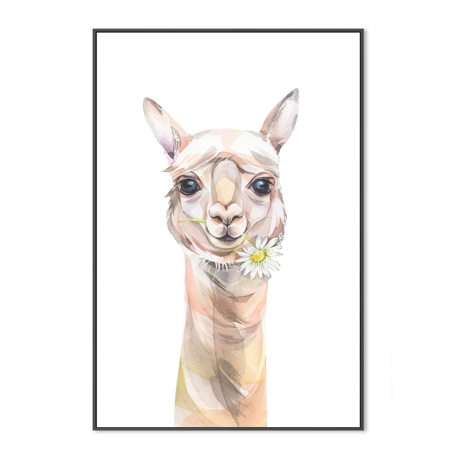 wall-art-print-canvas-poster-framed-Cute Llama With Chamomile, Watercolour Painting Style-by-Gioia Wall Art-Gioia Wall Art