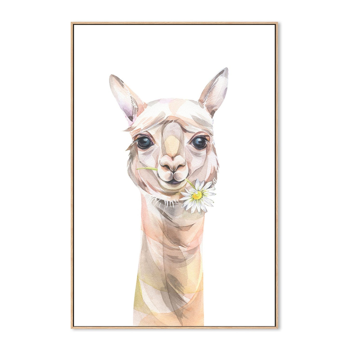 wall-art-print-canvas-poster-framed-Cute Llama With Chamomile, Watercolour Painting Style-by-Gioia Wall Art-Gioia Wall Art