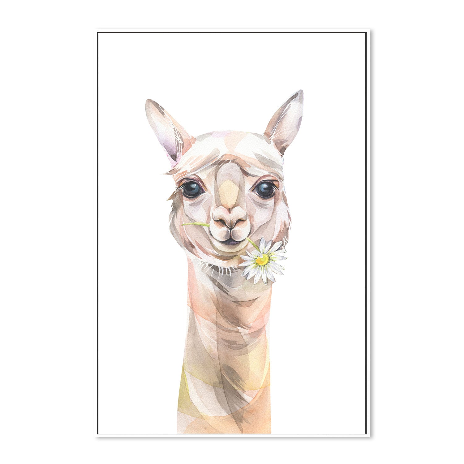 wall-art-print-canvas-poster-framed-Cute Llama With Chamomile, Watercolour Painting Style-by-Gioia Wall Art-Gioia Wall Art