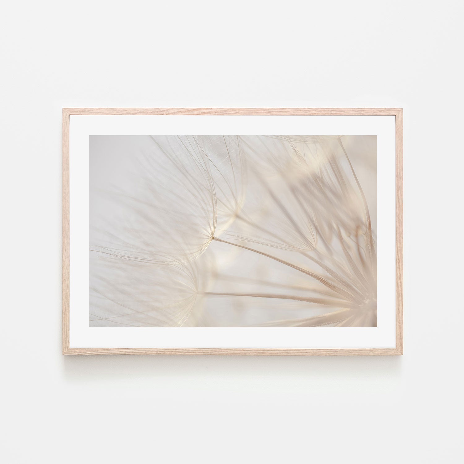 wall-art-print-canvas-poster-framed-Dandelions In The Breeze-GIOIA-WALL-ART