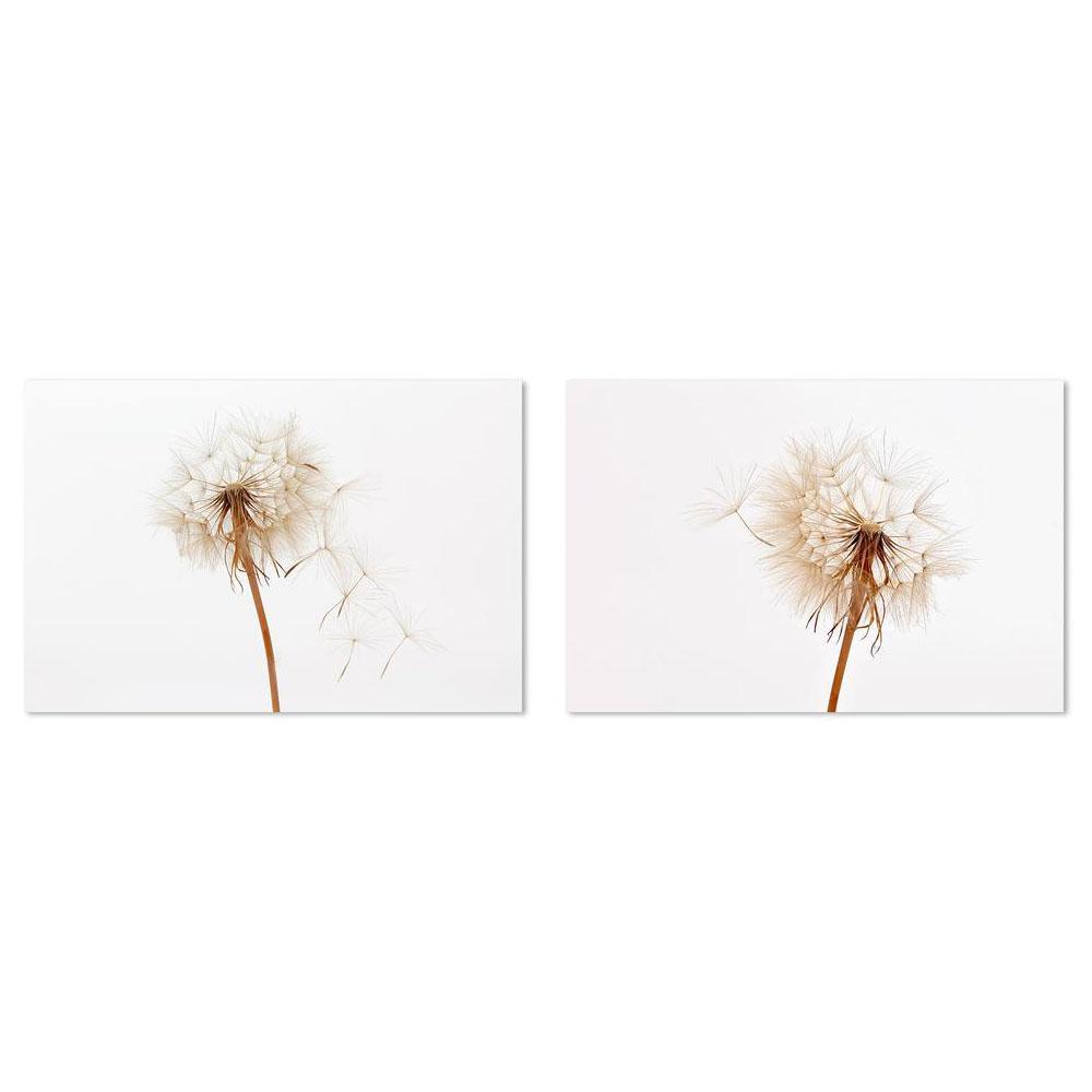 wall-art-print-canvas-poster-framed-Dandelions, Set Of 2-by-Gioia Wall Art-Gioia Wall Art