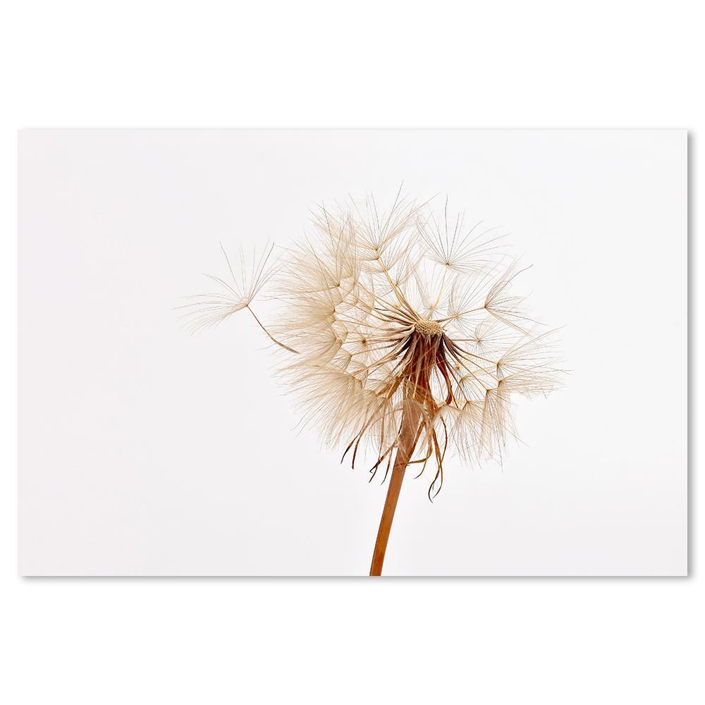 wall-art-print-canvas-poster-framed-Dandelions, Set Of 2-by-Gioia Wall Art-Gioia Wall Art