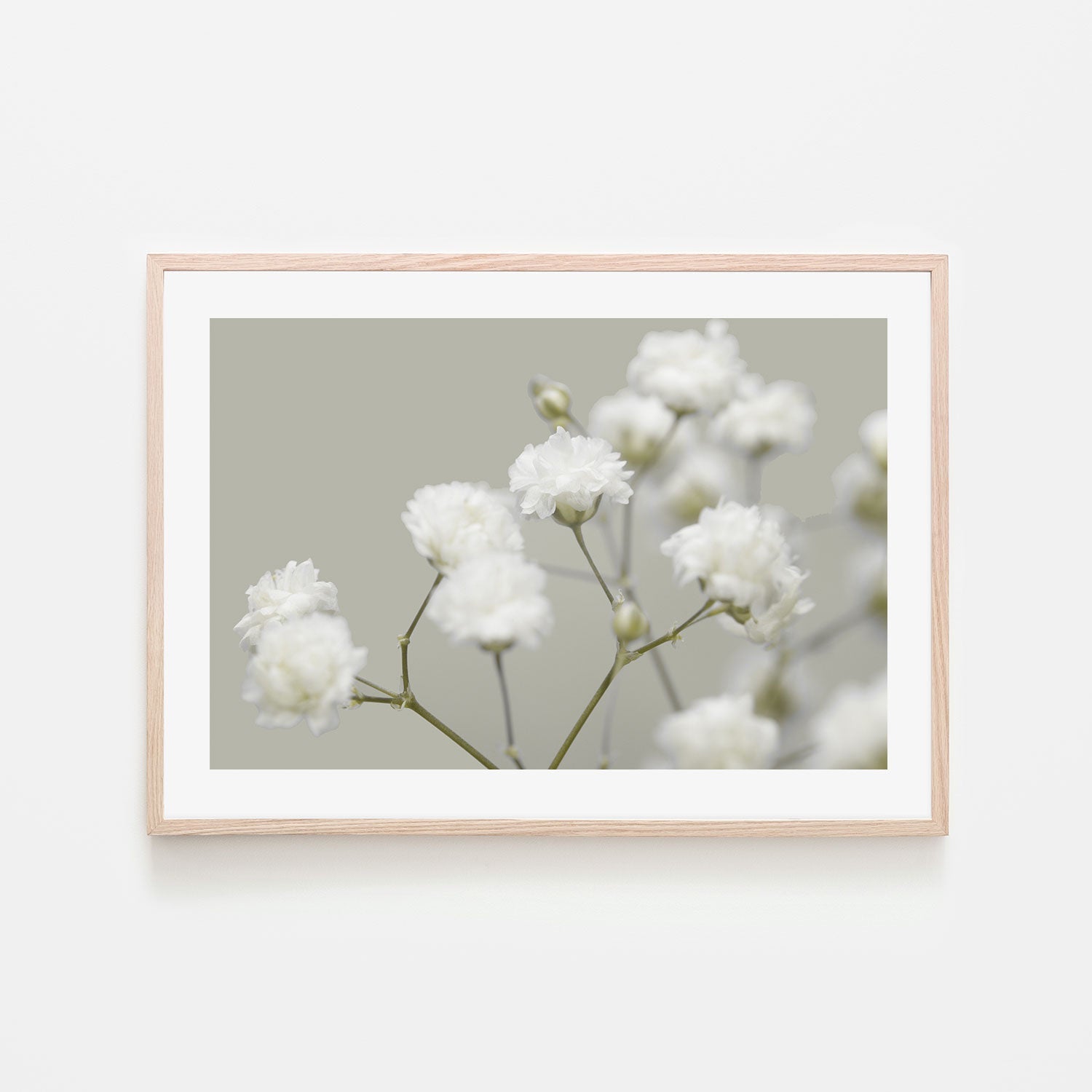 wall-art-print-canvas-poster-framed-Delicate, Style B-by-Gioia Wall Art-Gioia Wall Art