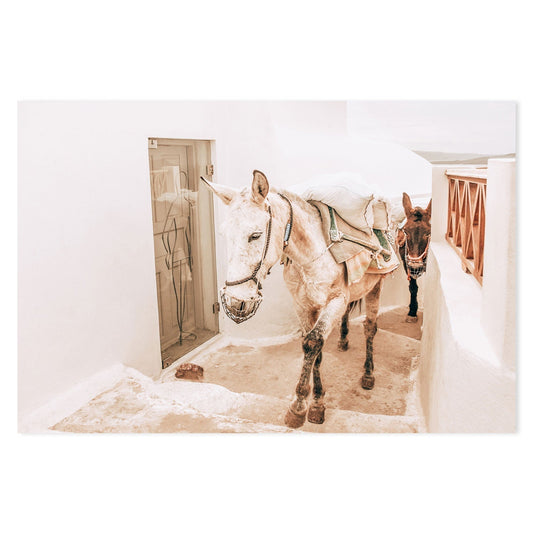 wall-art-print-canvas-poster-framed-Donkeys on old stone stairs in Santorini-by-Gioia Wall Art-Gioia Wall Art