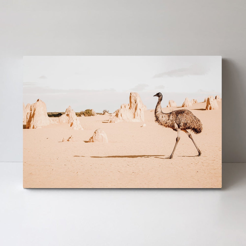 wall-art-print-canvas-poster-framed-Emu In The Pinnacles, Style A-by-Gioia Wall Art-Gioia Wall Art