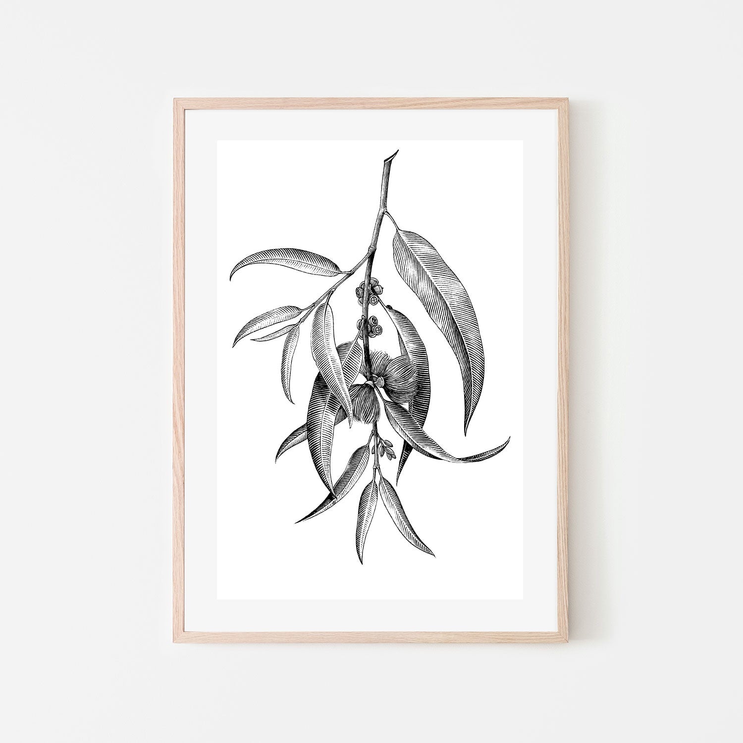 wall-art-print-canvas-poster-framed-Eucalyptus EPS10-GIOIA-WALL-ART