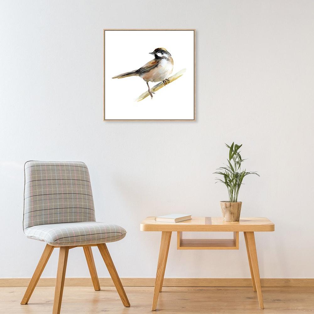 wall-art-print-canvas-poster-framed-Finch, Bird Painting, Watercolour , Style B-by-Gioia Wall Art-Gioia Wall Art