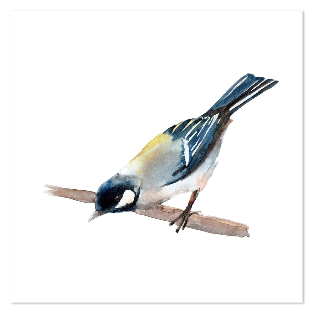 wall-art-print-canvas-poster-framed-Finch, Bird Painting, Watercolour , Style C-by-Gioia Wall Art-Gioia Wall Art