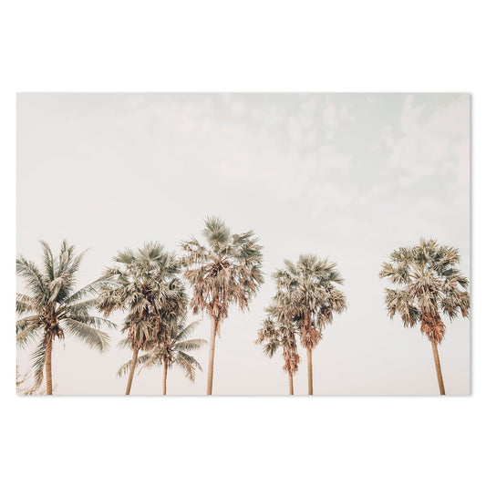 Buy Five Palms Wall Art Online, Framed Canvas Or Poster