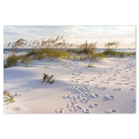 wall-art-print-canvas-poster-framed-Footprints By The Beach-by-Gioia Wall Art-Gioia Wall Art