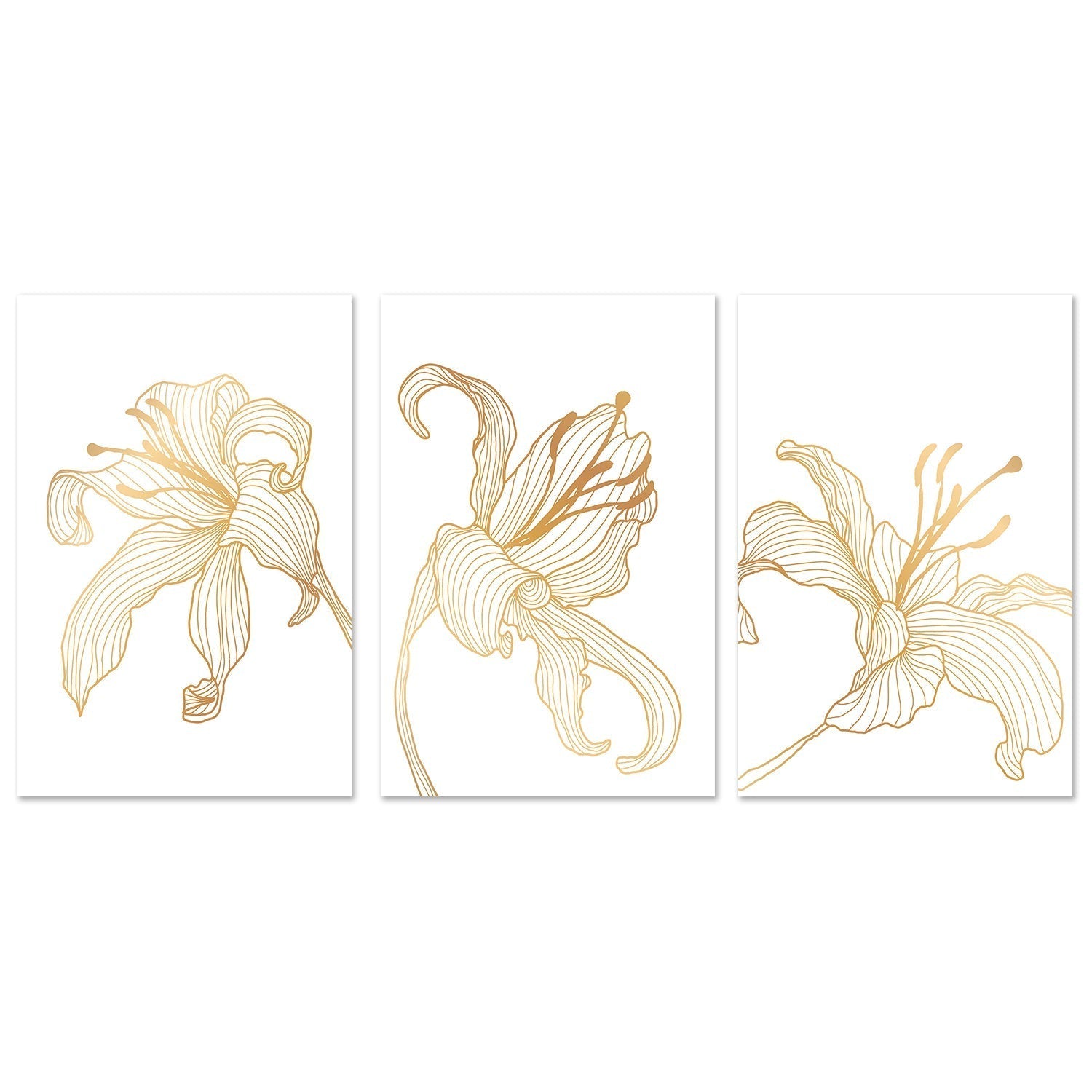 wall-art-print-canvas-poster-framed-Gold Lily, Style A, B & C, Set Of 3-GIOIA-WALL-ART