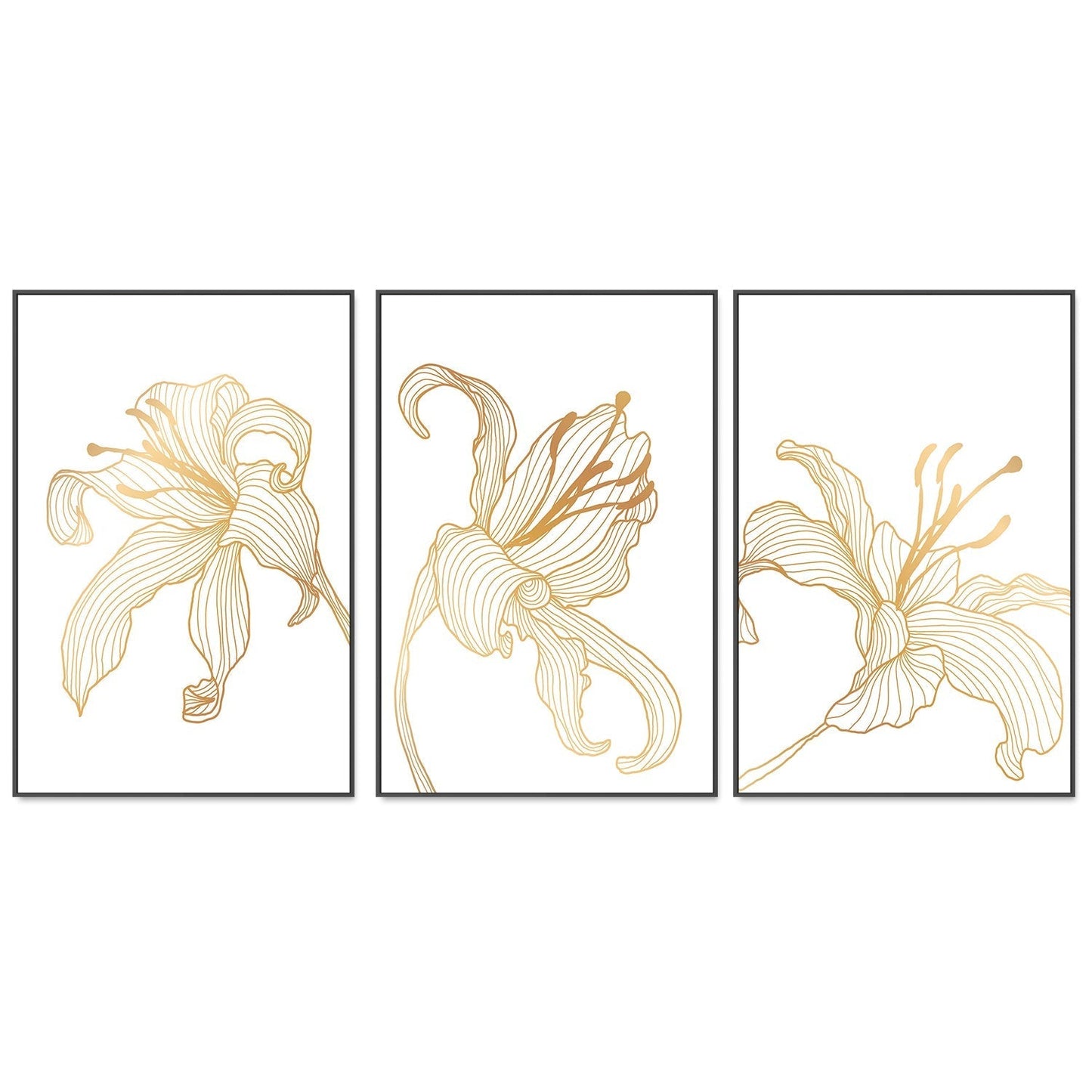 wall-art-print-canvas-poster-framed-Gold Lily, Style A, B & C, Set Of 3-GIOIA-WALL-ART