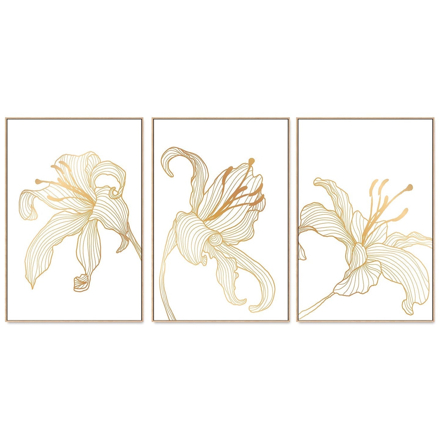 wall-art-print-canvas-poster-framed-Gold Lily, Style A, B & C, Set Of 3-GIOIA-WALL-ART