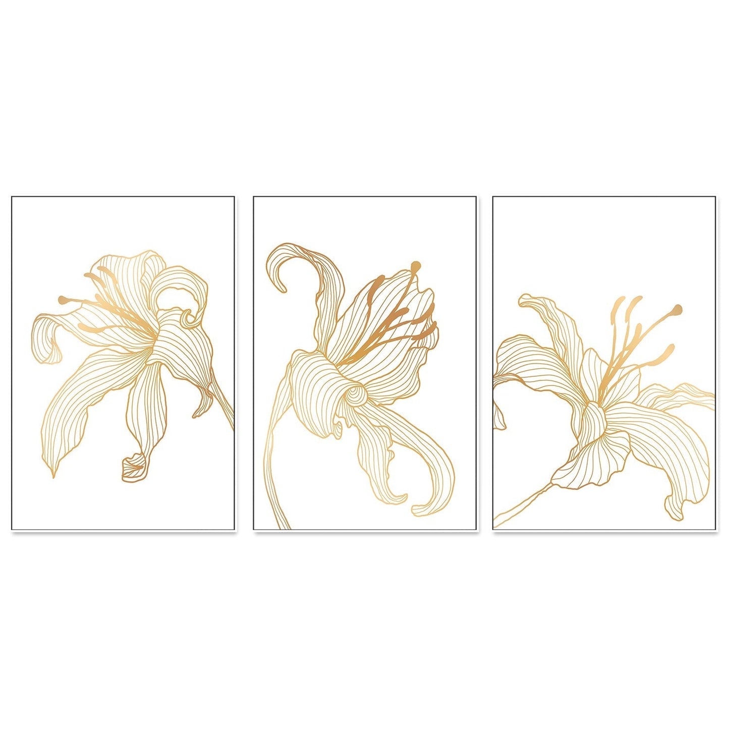 wall-art-print-canvas-poster-framed-Gold Lily, Style A, B & C, Set Of 3-GIOIA-WALL-ART