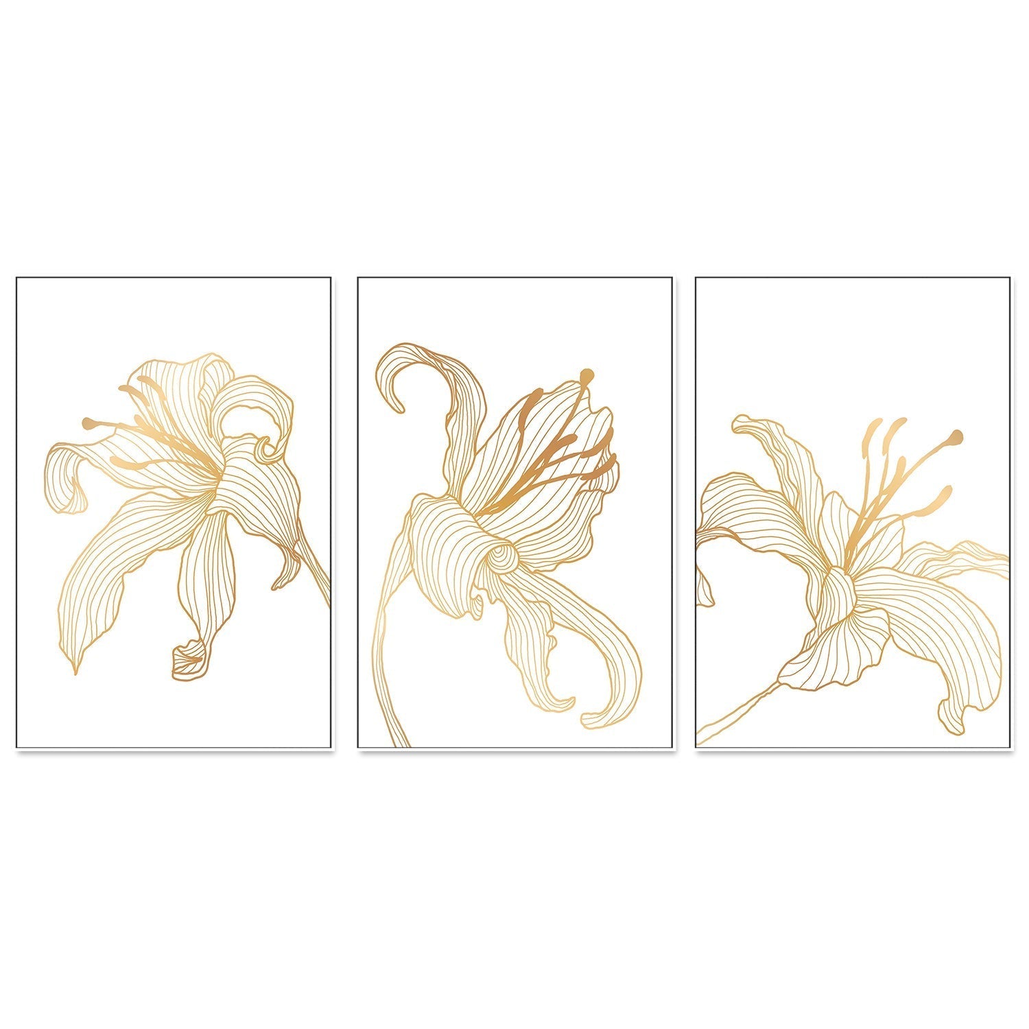 wall-art-print-canvas-poster-framed-Gold Lily, Style A, B & C, Set Of 3-GIOIA-WALL-ART