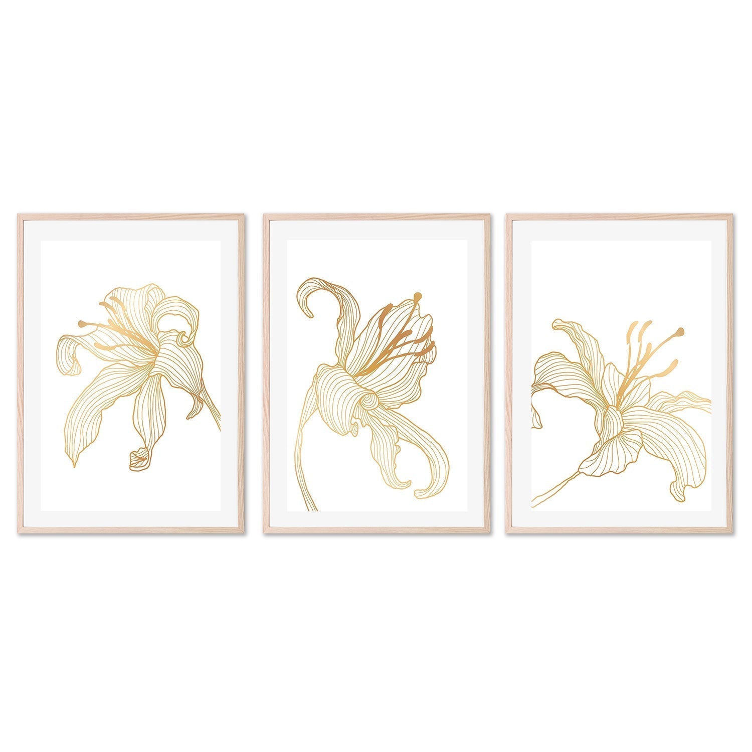 wall-art-print-canvas-poster-framed-Gold Lily, Style A, B & C, Set Of 3-GIOIA-WALL-ART