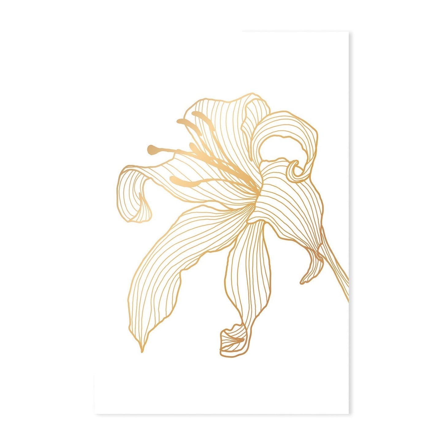 wall-art-print-canvas-poster-framed-Gold Lily, Style A, B & C, Set Of 3-GIOIA-WALL-ART