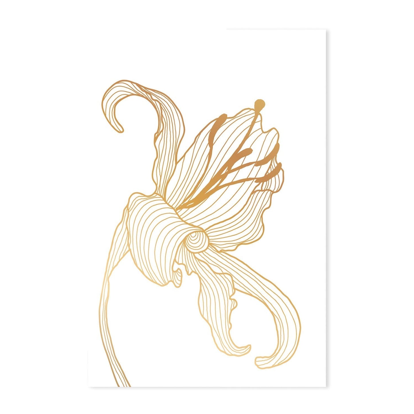 wall-art-print-canvas-poster-framed-Gold Lily, Style A, B & C, Set Of 3-GIOIA-WALL-ART