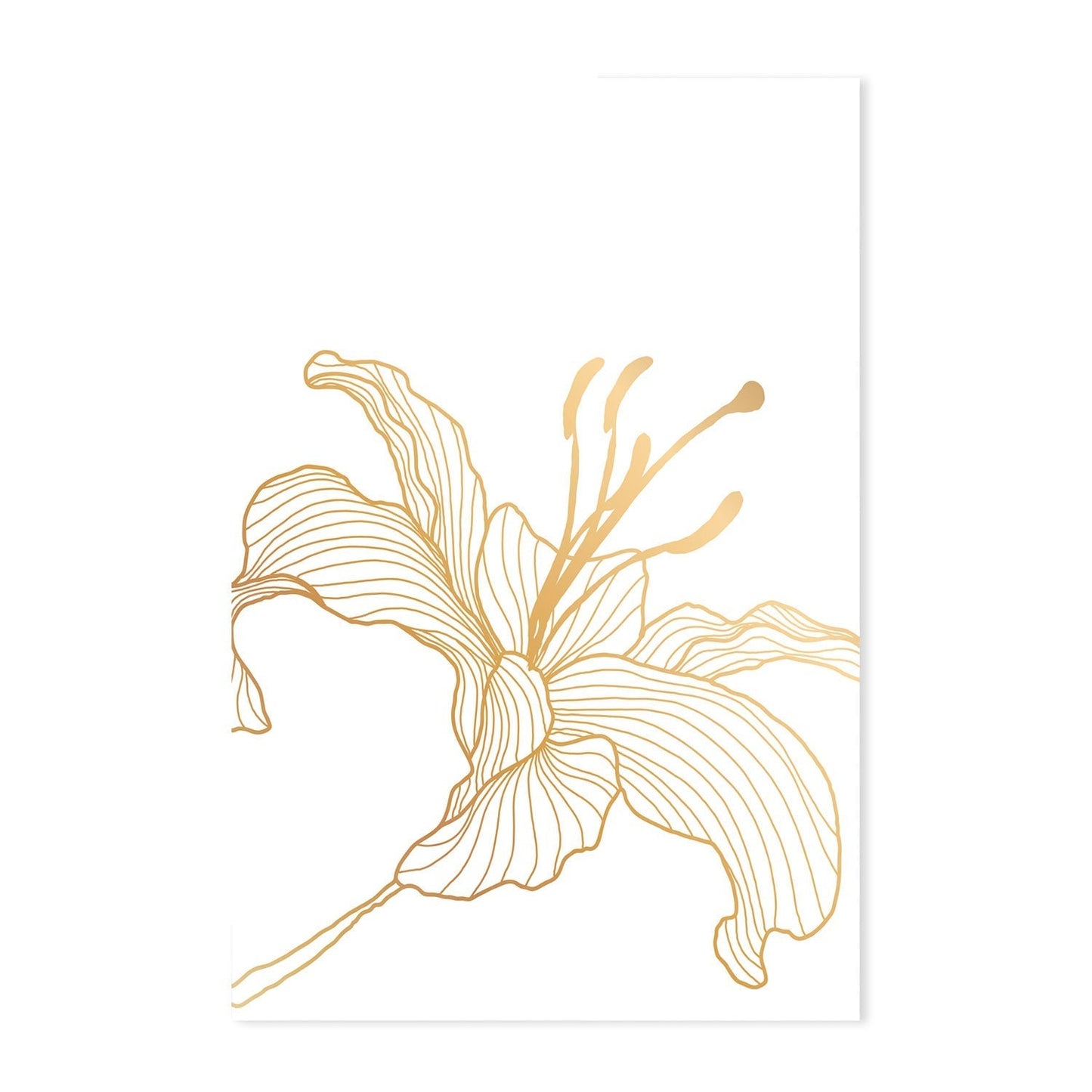 wall-art-print-canvas-poster-framed-Gold Lily, Style A, B & C, Set Of 3-GIOIA-WALL-ART