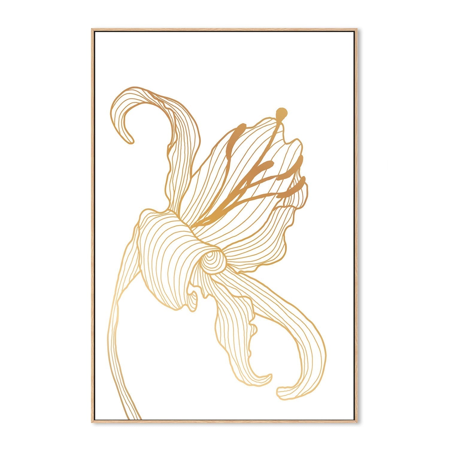 wall-art-print-canvas-poster-framed-Gold Lily, Style B-GIOIA-WALL-ART