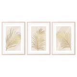 wall-art-print-canvas-poster-framed-Golden Palm Leaf, Style A, B & C, Set Of 3-GIOIA-WALL-ART