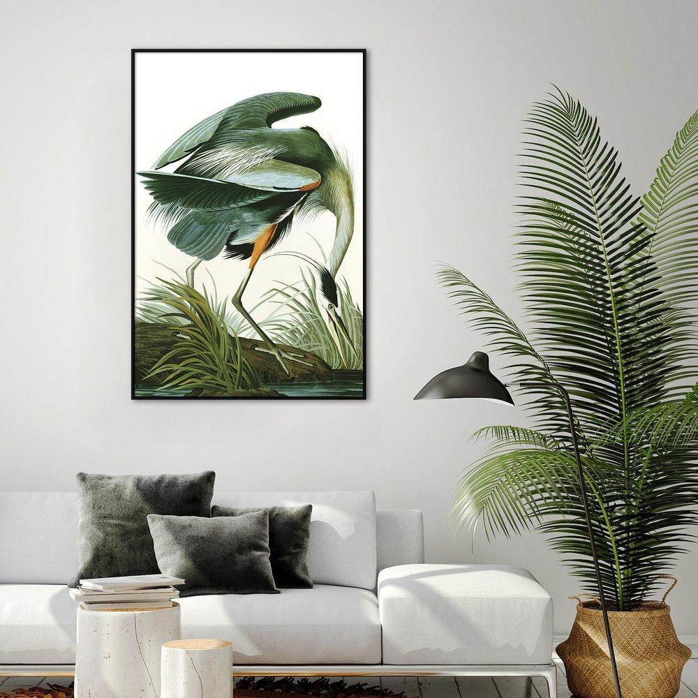 wall-art-print-canvas-poster-framed-Great Blue Heron By John James Audubon-by-Gioia Wall Art-Gioia Wall Art