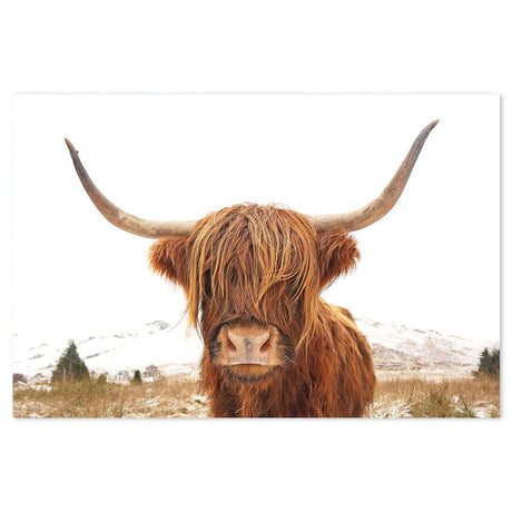 wall-art-print-canvas-poster-framed-Great Hair Don'T Care Yak, Highland Cow, Nature Colour-by-Gioia Wall Art-Gioia Wall Art