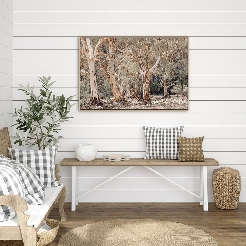 Gum Tree Forest-Gioia-Prints-Framed-Canvas-Poster-GIOIA-WALL-ART