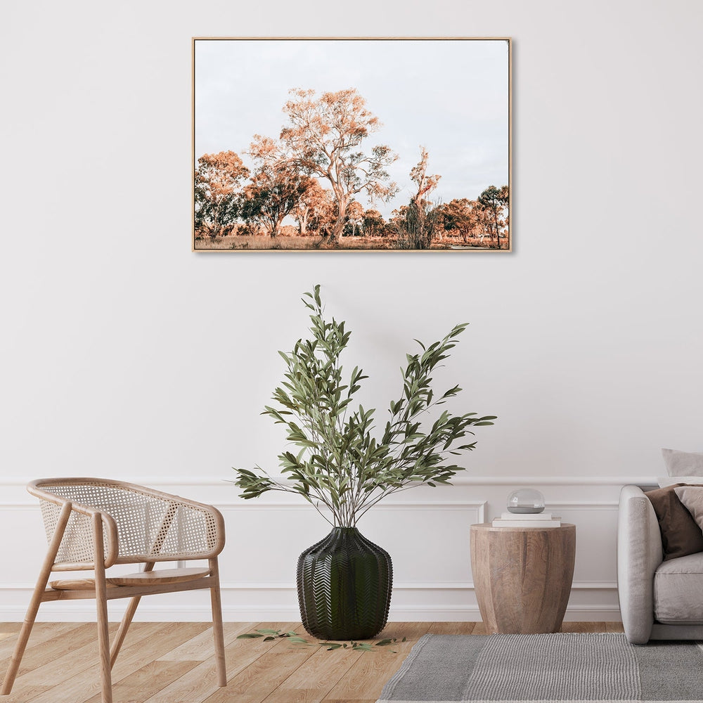 wall-art-print-canvas-poster-framed-Gum Trees In Sunset, South Australia-by-Gioia Wall Art-Gioia Wall Art